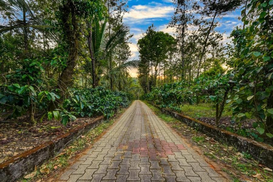 Coorg Bliss Estate Stay Madikeri Kültér fotó