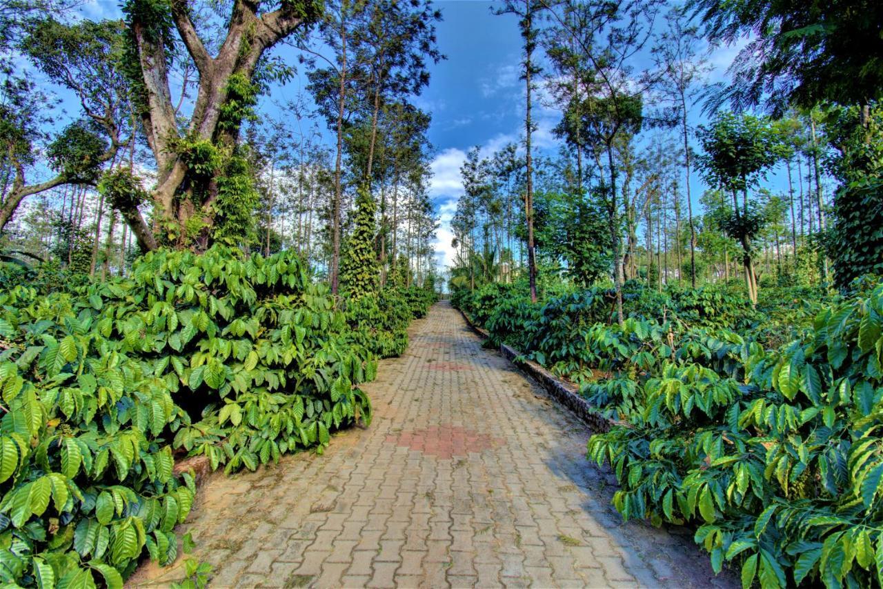 Coorg Bliss Estate Stay Madikeri Kültér fotó