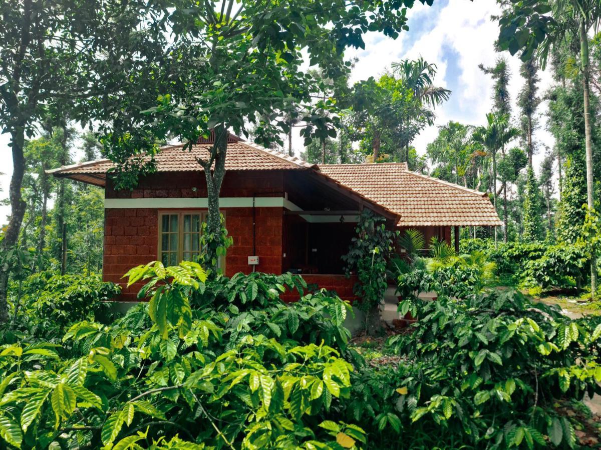 Coorg Bliss Estate Stay Madikeri Kültér fotó