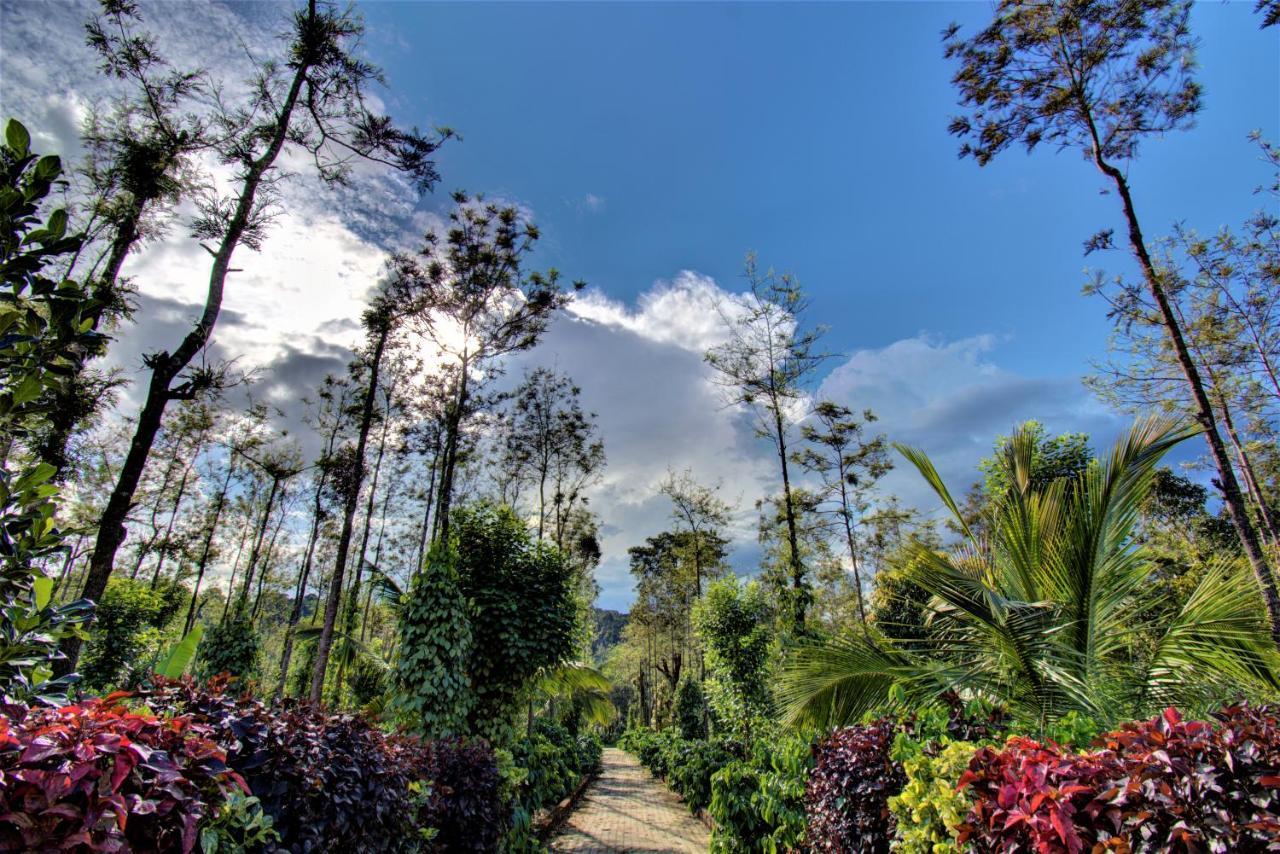 Coorg Bliss Estate Stay Madikeri Kültér fotó