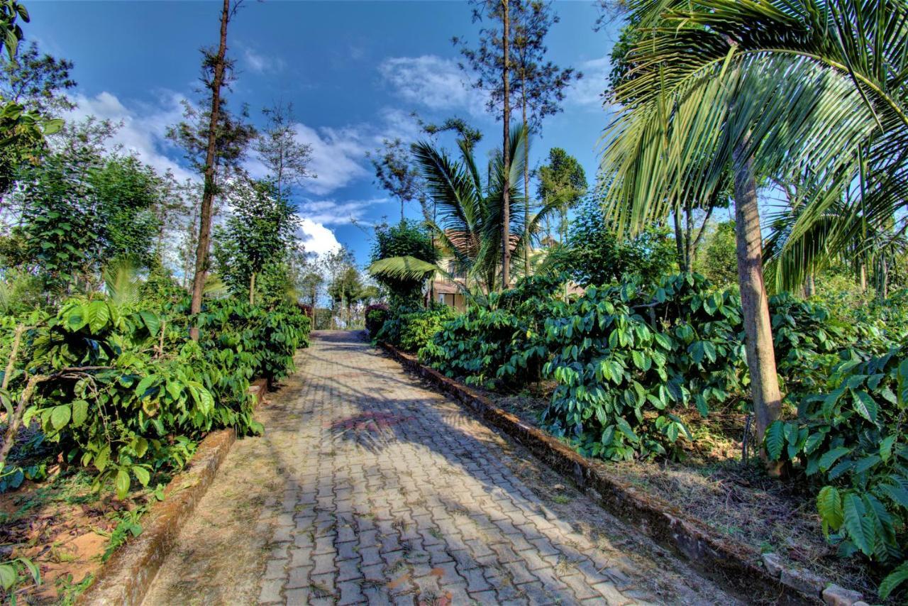 Coorg Bliss Estate Stay Madikeri Kültér fotó